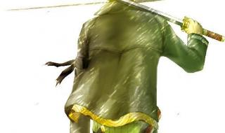 海贼王手掌岛的冒险